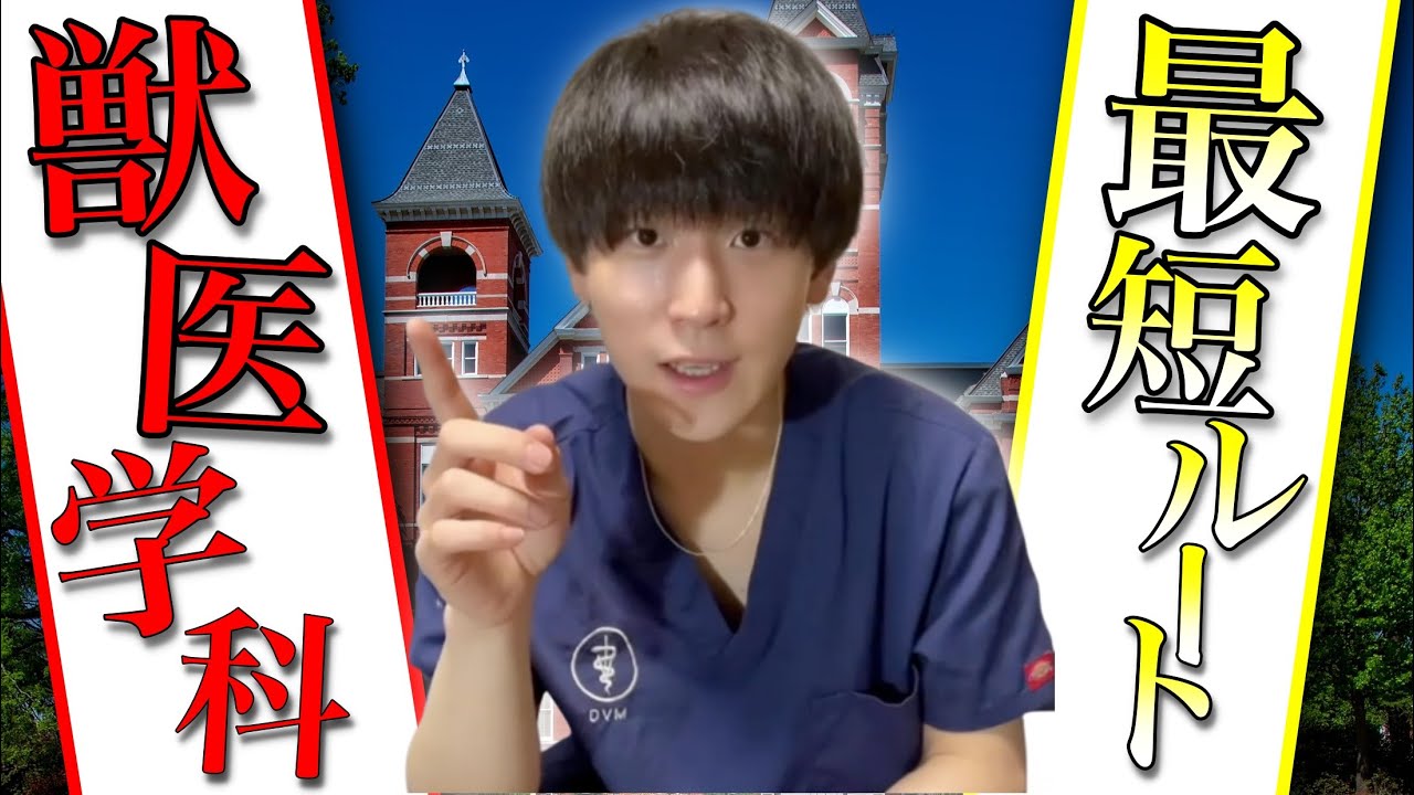 【受験】獣医学科に一番簡単に合格する方法を教えます。