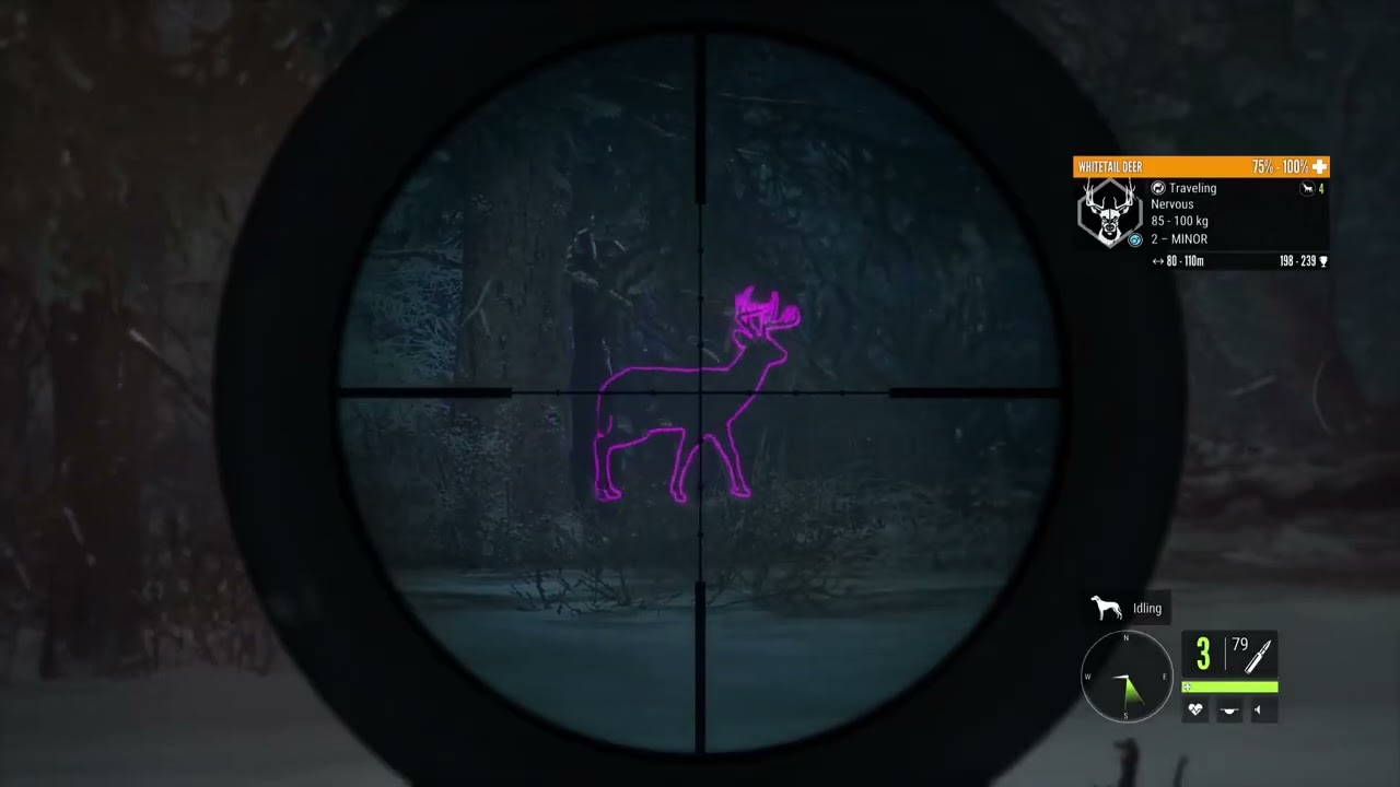 TheHunter COTW - Askiy Ridge map completion