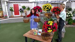 Roberta's 4-piece Jumbo Begonia Bulbs with Hanging Baskets on QVC Beautiful Begonia Baskets