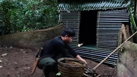 Xây dựng nơi trú ẩn bằng tre dưới gốc cây cổ thụ để sinh tồn trong rừng mưa nhiệt đới