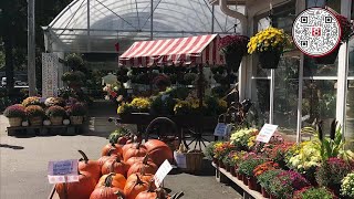 Famous 8 Things To do This Weekend: Fall Arts Festival, Pumpkintown U.S.A. and CT Lit Fest Profile