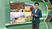 
      Thời tiết du lịch 01/07/2019: Ninh Thuận mưa dông vào chiều tối, ban ngày trời nắng dịu | VTC14
    