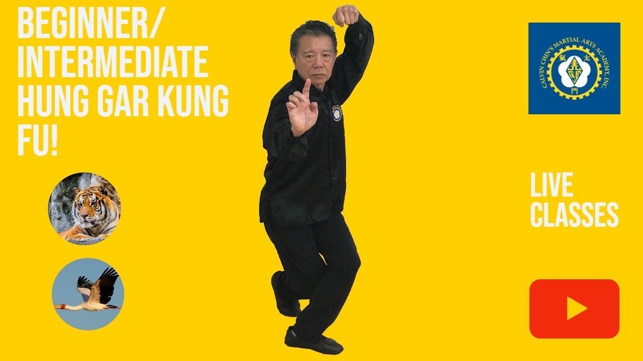 Beginner/Intermediate Hung Gar Kung Fu all ages Live! - YouTube