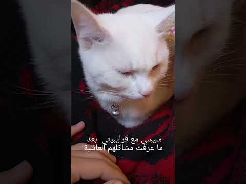 اشششش يا سيسي سيسي اشتركوا بالقناة