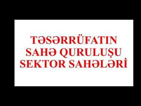 Təsərrüfatın sahə quruluşu sektor sahələri