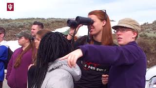 IU Kokomo: Yellowstone Field Experience (Descriptive Audio)