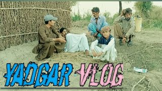 Tamatar Ki Fasal Par Vlog Beautiful