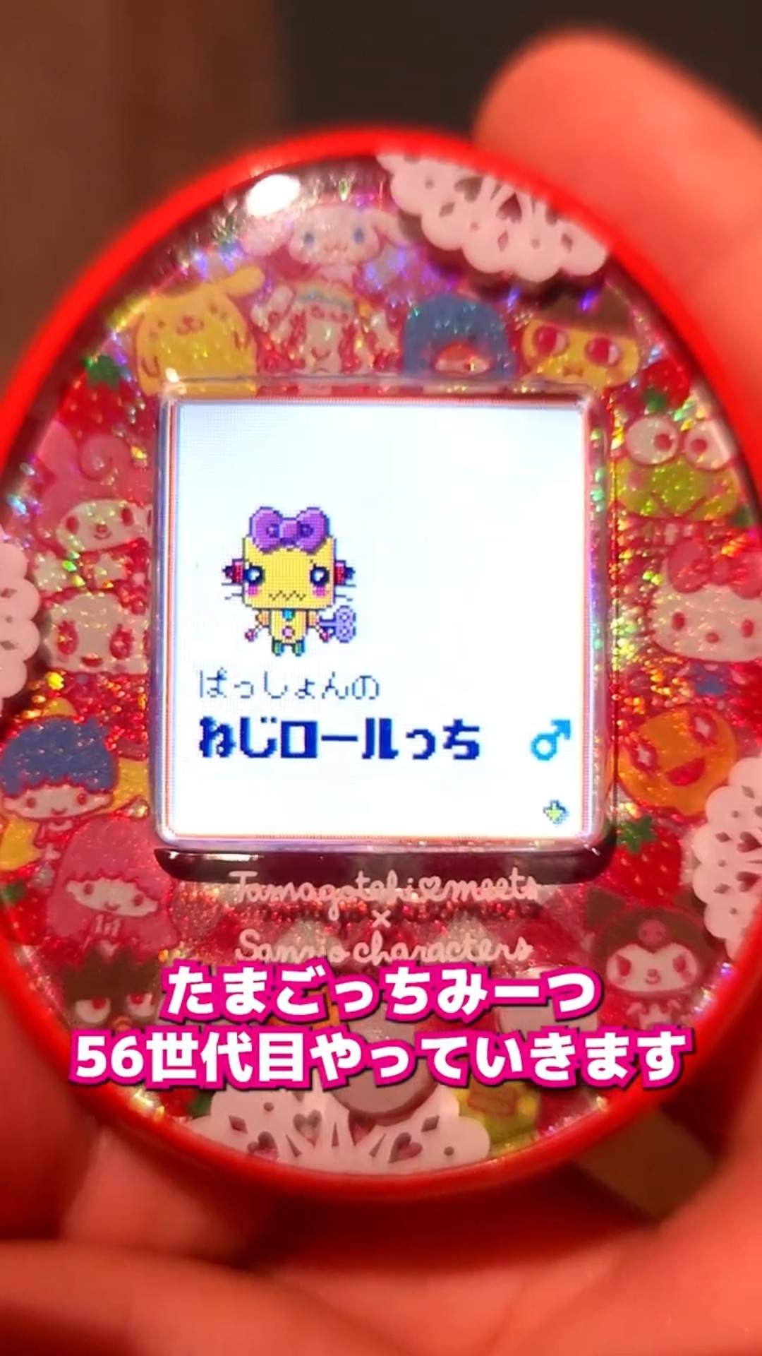 Y*a様 たまごっち　みーつ　サンリオ たまごっちみーつ サンリオキャラクターズDXセット | サンリオ
