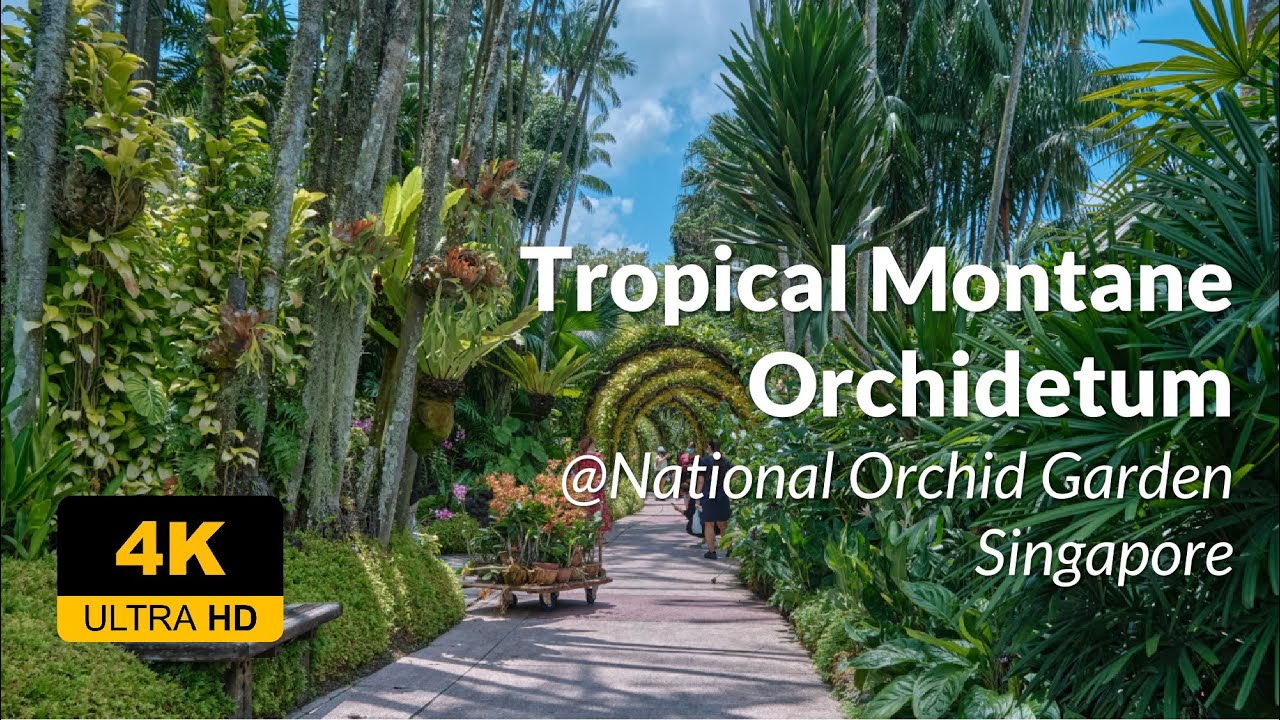 Tropical Montane Orchidetum at National Orchid Garden 