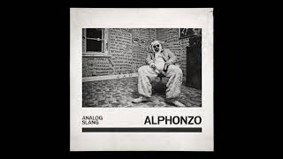 Alphonzo - Analog Slang LP (Snippet by DJAccess) | #Alphonzo #FigubBrazlevic #KrekpekRecords