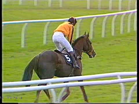 1992 Gerry Fielden Hurdle Mighty Mogul