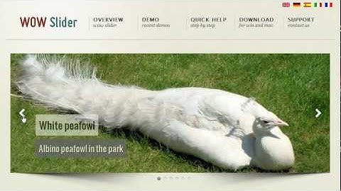 Javascript Slideshow: an easy-to-use js slideshow builder