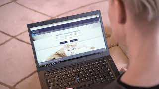It's time to register your dogs and cats