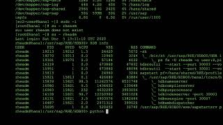 Automating your SAP environment Part 1