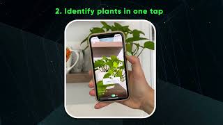 How to properly care for plants? PlantIn knows the answer screenshot 4