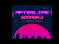 SoonerJ - Open the Skies (feat. Afroduck)