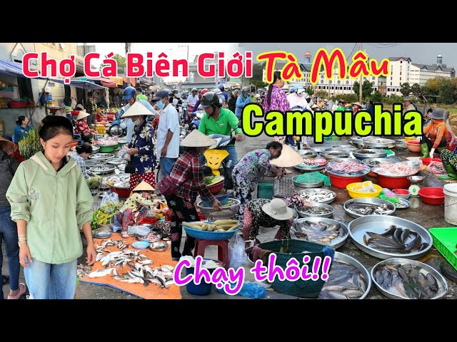 Chợ Cá Biên Giới Tà Mâu Campuchia - Bỏ chạy tán loạn chợ Châu Thạnh class=