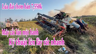 Lúa đài thơm bán được 7,550 ngàn - kỹ thuật lên lầy rất nhanh của tài xế by THÁI TRÍ KHANG 829 views 3 months ago 37 minutes