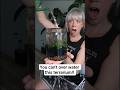 I Made a Terrarium You Literally Can’t Overwater #terrarium #TerrariumBuild #plantsoftiktok