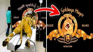 9 Datos Asombrosos Que no Conocías Sobre Los Logotipos Famosos