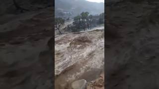 unbelievable flood disaster😱#flood#flooddisaster#shorts