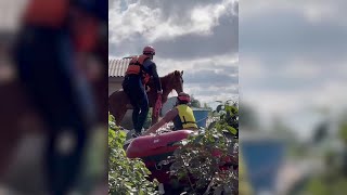 Brazilians rescue stranded horse from rooftop in flooded city of Canoas | AFP