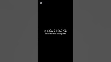 (وان ربك لذو فضلٍ)ايات من سورة النمل #صلوا_على_النبي_صلى_الله_عليه_واله_وصحبه_وسلم