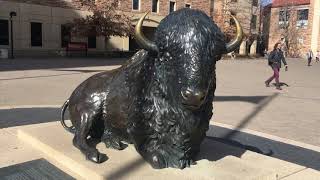 CU Boulder  CMCI-1020 Spring Term Lab Assignment 3