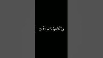 سورة الكافرون شاشة سوداء || ياسر الدوسري #كرومات_قرآن #شاشة_سوداء