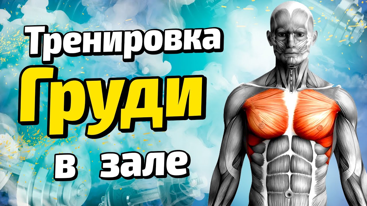 Тренировка груди в зале