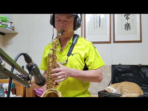 思念故鄉的情人 Bb調