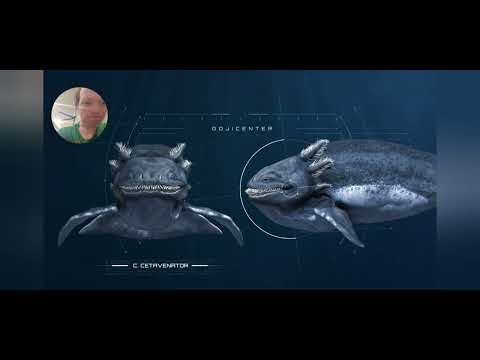 Goji Center Reaction: Bio Accurate Bloop Vs Gran Maja | Battle Faceoff Analysis