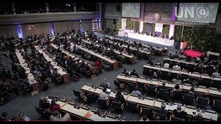 UN Environment Assembly 4: Day 5