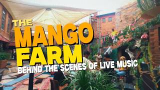 IAM6TEEN, TUMI MOLIKO AND MAJOR STEEZ PERFORM AT OUR SHOW | The Mango Farm Vlog