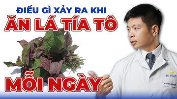 Điều Gì Xảy Ra Khi Ăn Lá Tía Tô Mỗi Ngày | Dr Ngọc