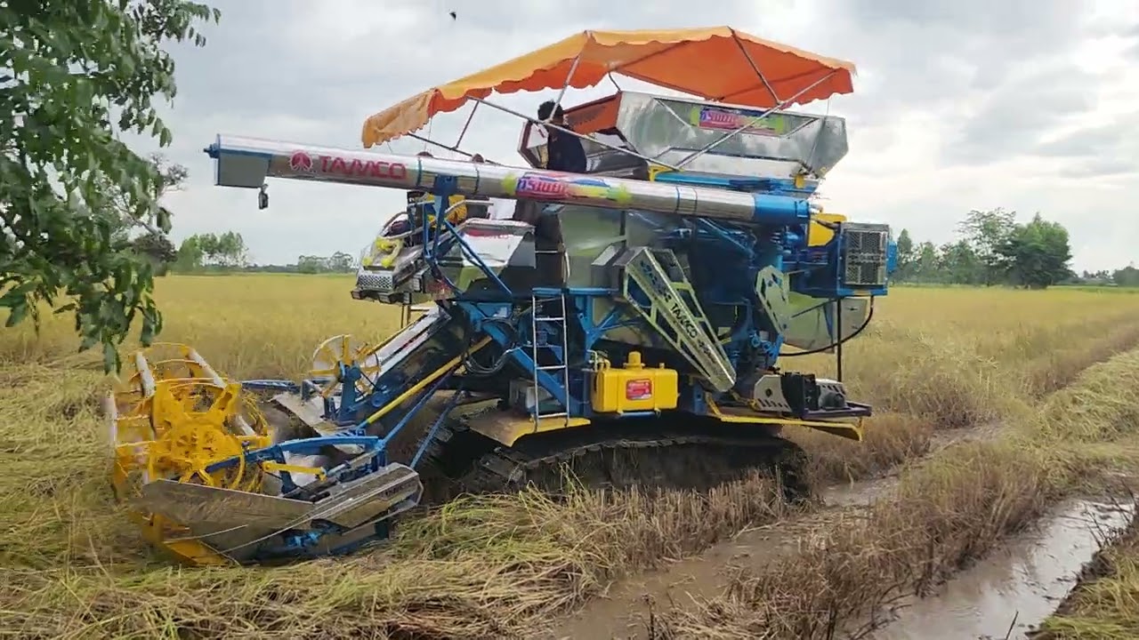 ลงเกี่ยว🌾ไอ้หนุ่มไวไฟ รุ่น S9000 TAMC0  พิกัดกข.15 อ.คูเมือง จ.บุรีรัมย์ ทีมงานทรัพย์บุญพรหม