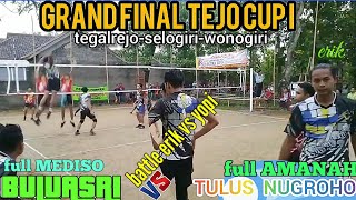 Live GRAND FINAL TEJO CUP I Selogiri Wonogiri | Tulus Nugroho Vs Buluasri