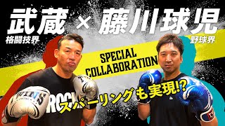 藤川球児が武蔵とスパーリング対決！火の玉ストレートが武蔵を襲う！？