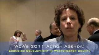 WCA's 2011 Agenda: Economic Development Task Force