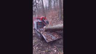 Tag 1 mit Suffel Smart Skidder
