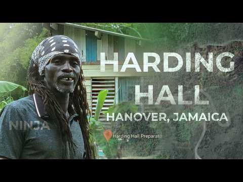 What Living is Like in Harding Hall - Interview with Resident Mr Cameron | Tenny Travels