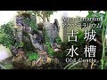 アクアテラリウム滝の古城水槽1 Aquaterrarium Old Castleアクアリウム