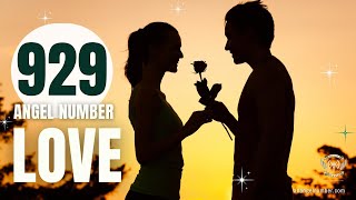 929 Angel Number Meaning in Love and Relationship 💚 Angel Number 929 Love Meaning ✅