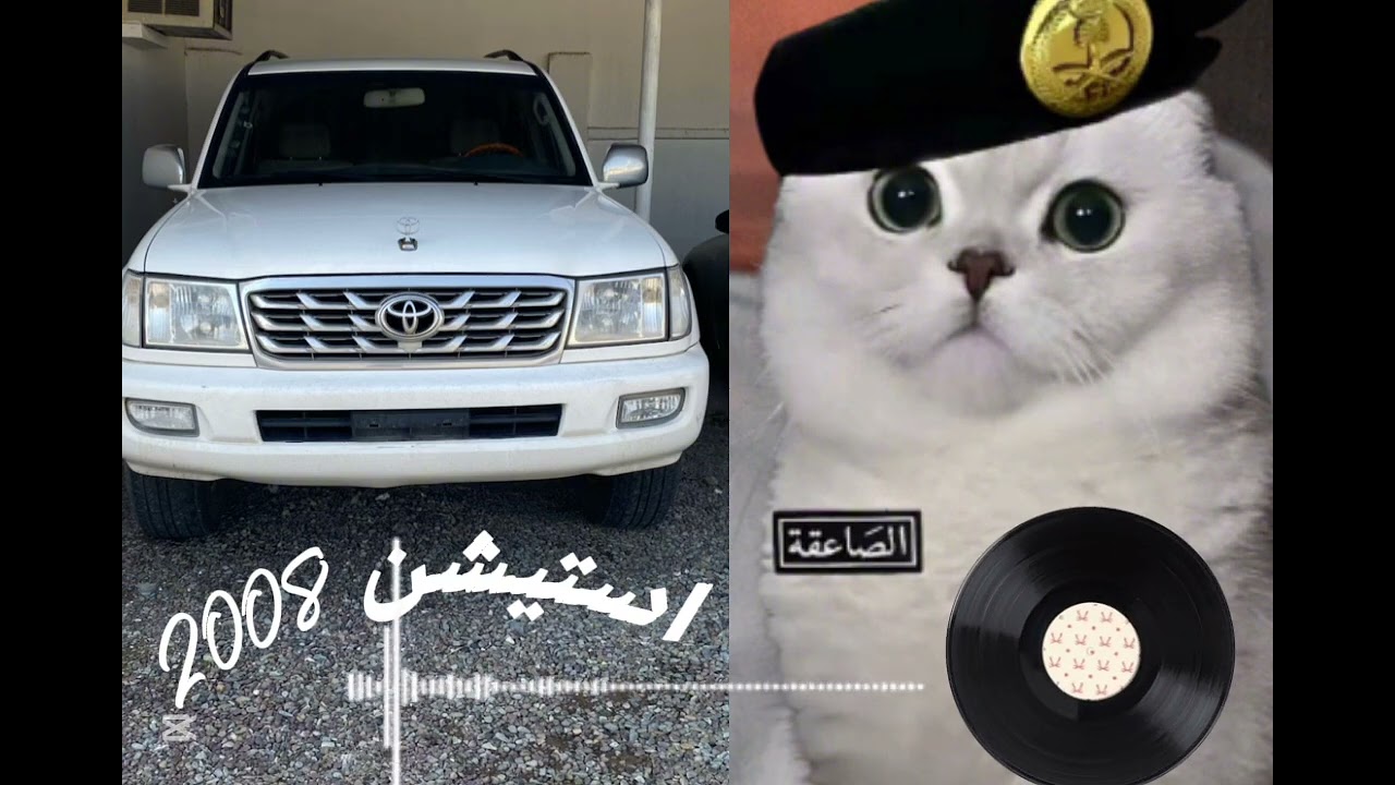 ٣ مارس، ٢٠٢٦