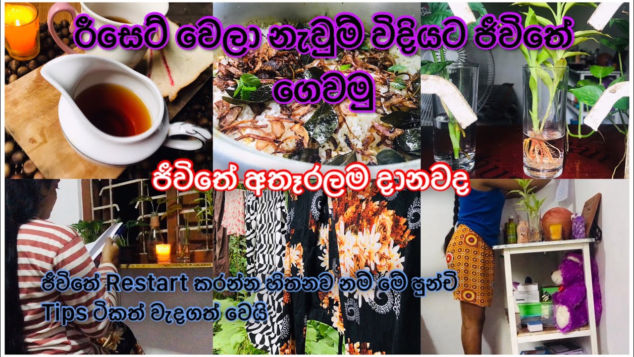 රීසෙට් වෙලා,නැවුම් විදියට ජීවිතේ පටන් ගමුද 😊🌈🍃🤍 ජීවිතේ අලුතින් හදාගන්න පුංචි ටිප්ස් 💫🧚‍♂️❤️