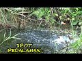 Mancing sekejap sudah dapat ikan banyak