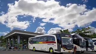 BUS SINAR JAYA | PARKIR MANIS