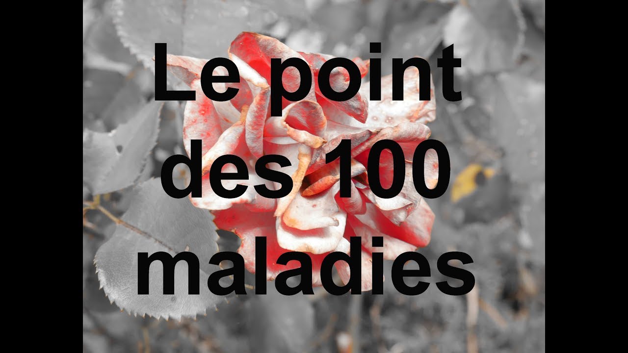 énergétique chinoise le point des 100 maladies