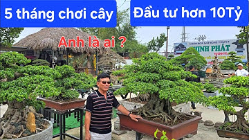 Chơi cây được 5 tháng mà anh Hùng đã có vườn cây đẳng cấp 