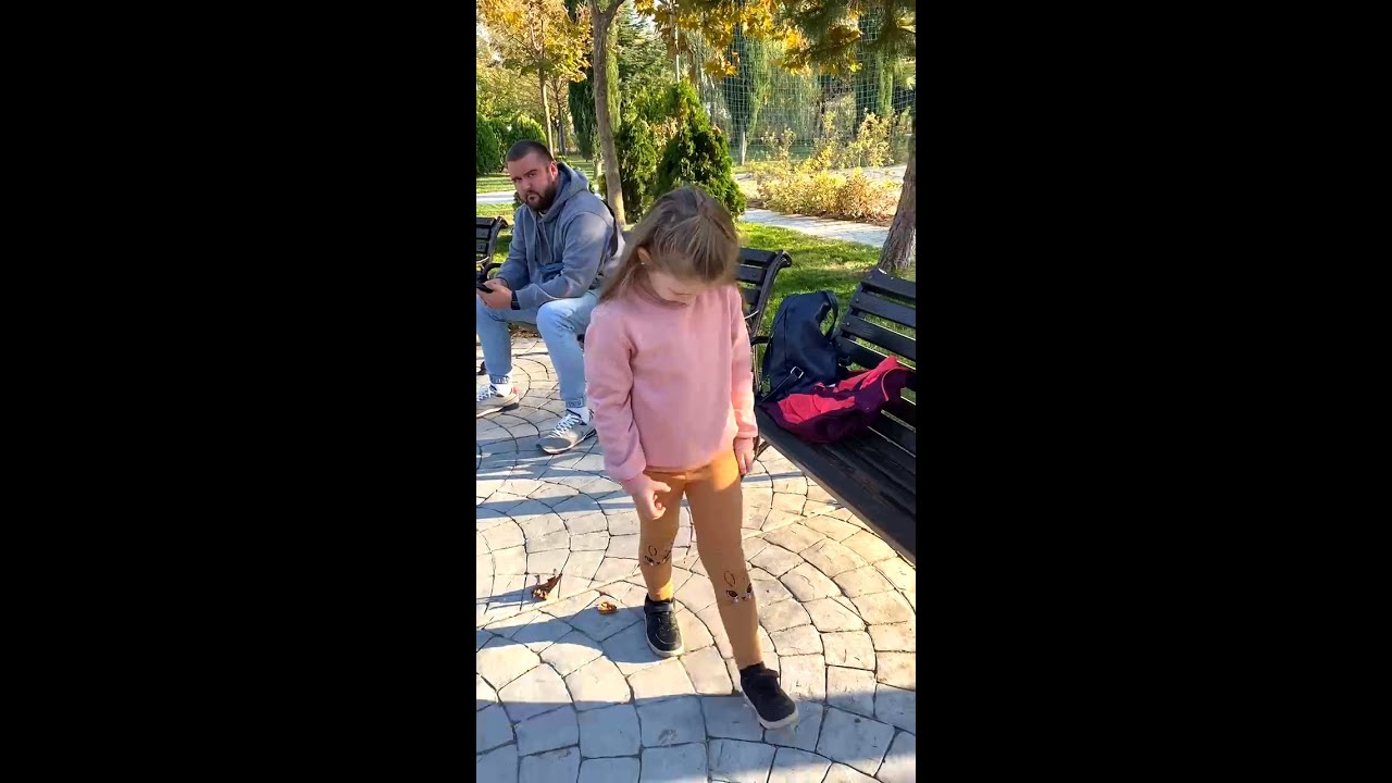 The Woman In Cabin 10 Official Trailer Netflix - YouTube Auto PHP Script